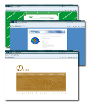 Domain name search and registration, Website Hosting, Website Design and Implementation, Ongoing Website Maintenance Services, Online Sales campaigns, Site traffic analysis and monitoring.